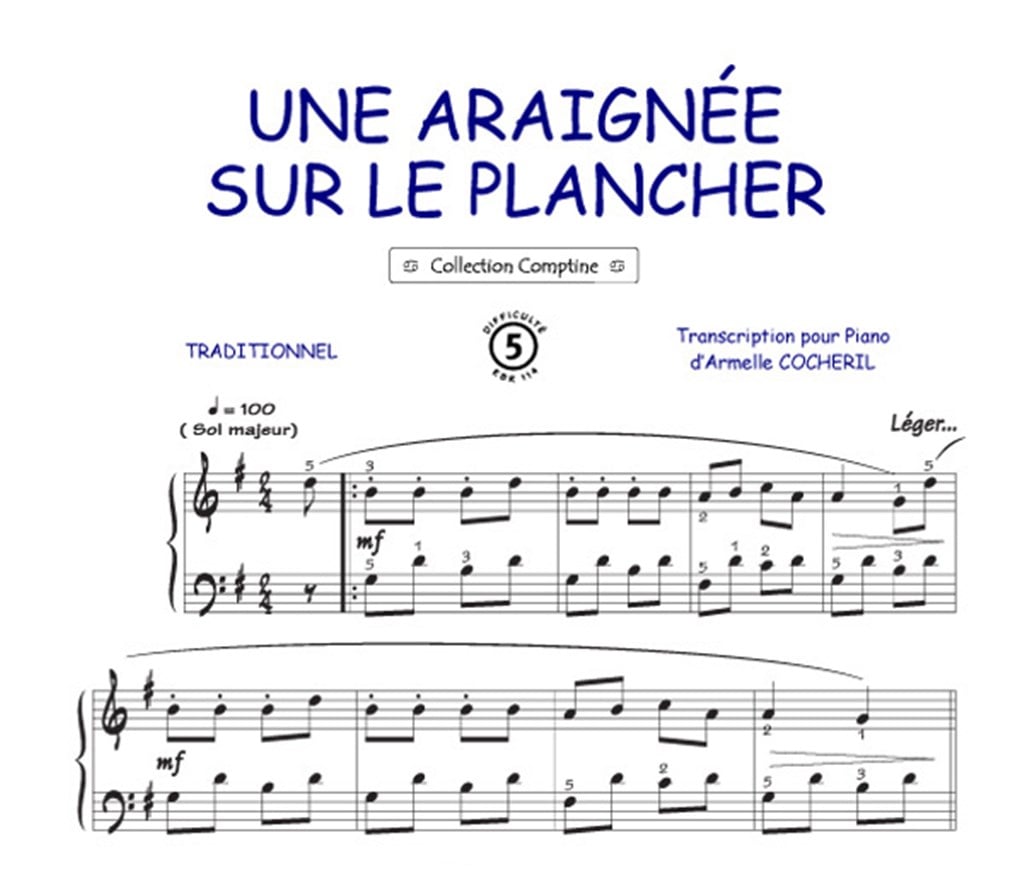 Une araignée sur le plancher